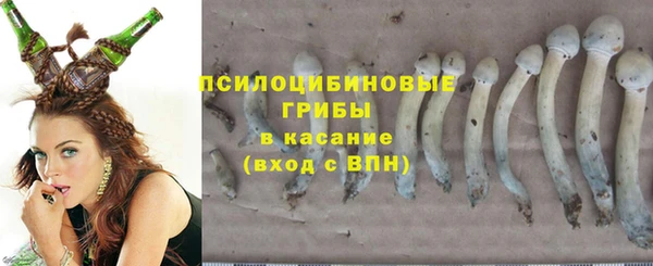 гашик Козловка