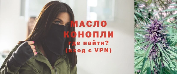гашик Козловка