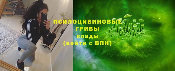 дживик Корсаков