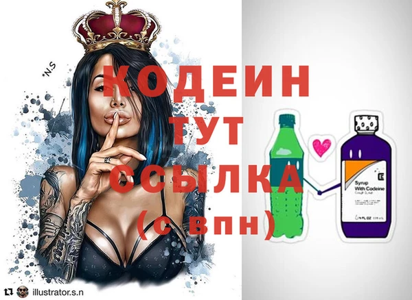 гашик Козловка