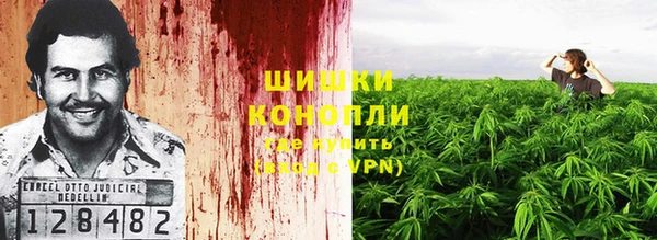 mdpv Козельск