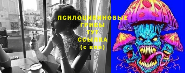 гашик Козловка