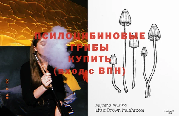 амф Кодинск