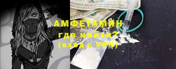 гашик Козловка